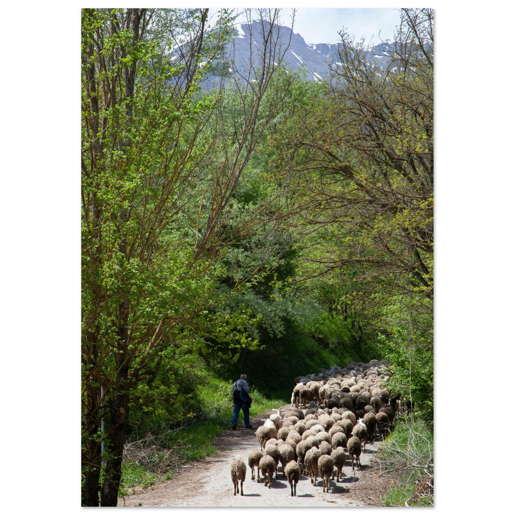 63bcebac-6ecf-4714-aff2-98e2d1eb30f1