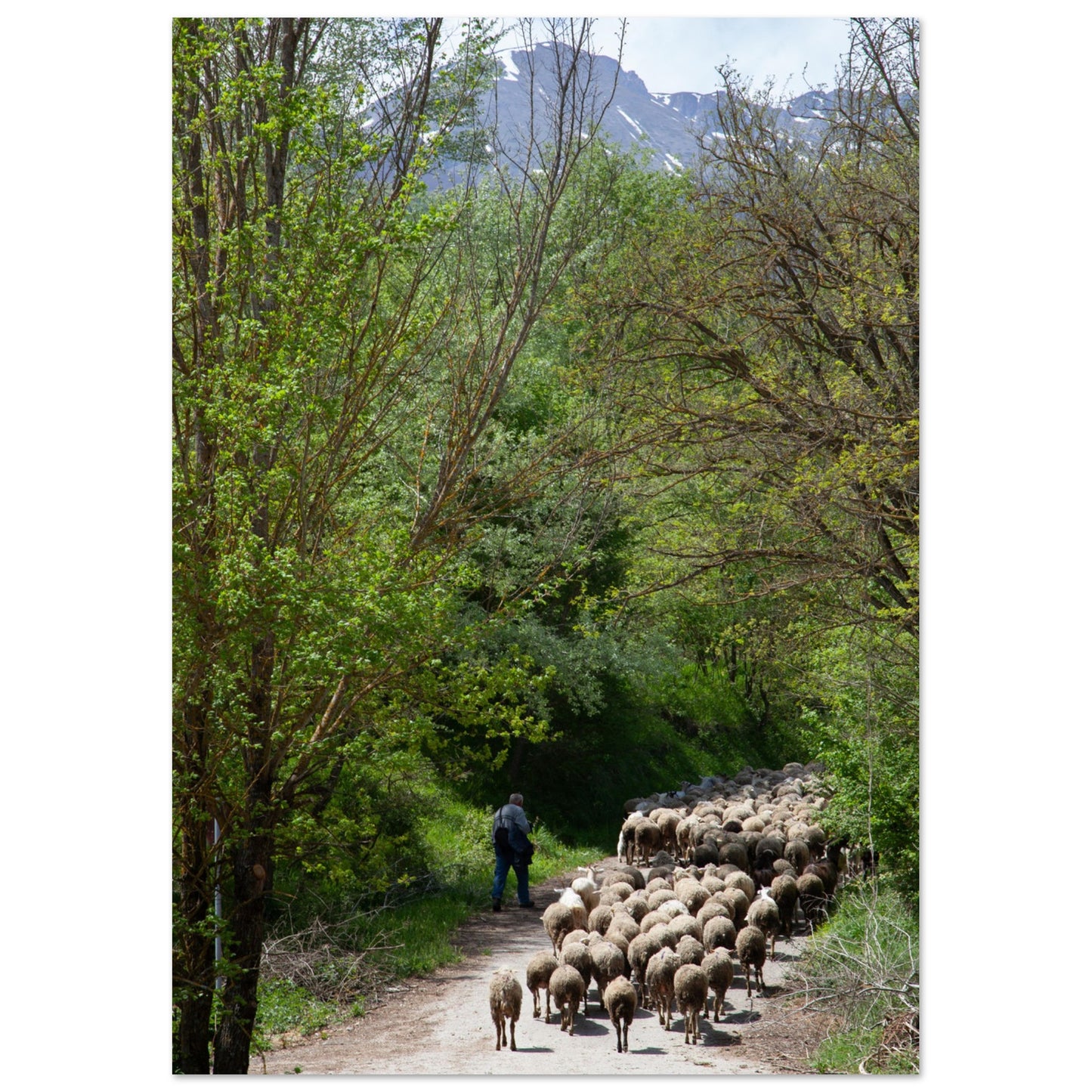 63bcebac-6ecf-4714-aff2-98e2d1eb30f1