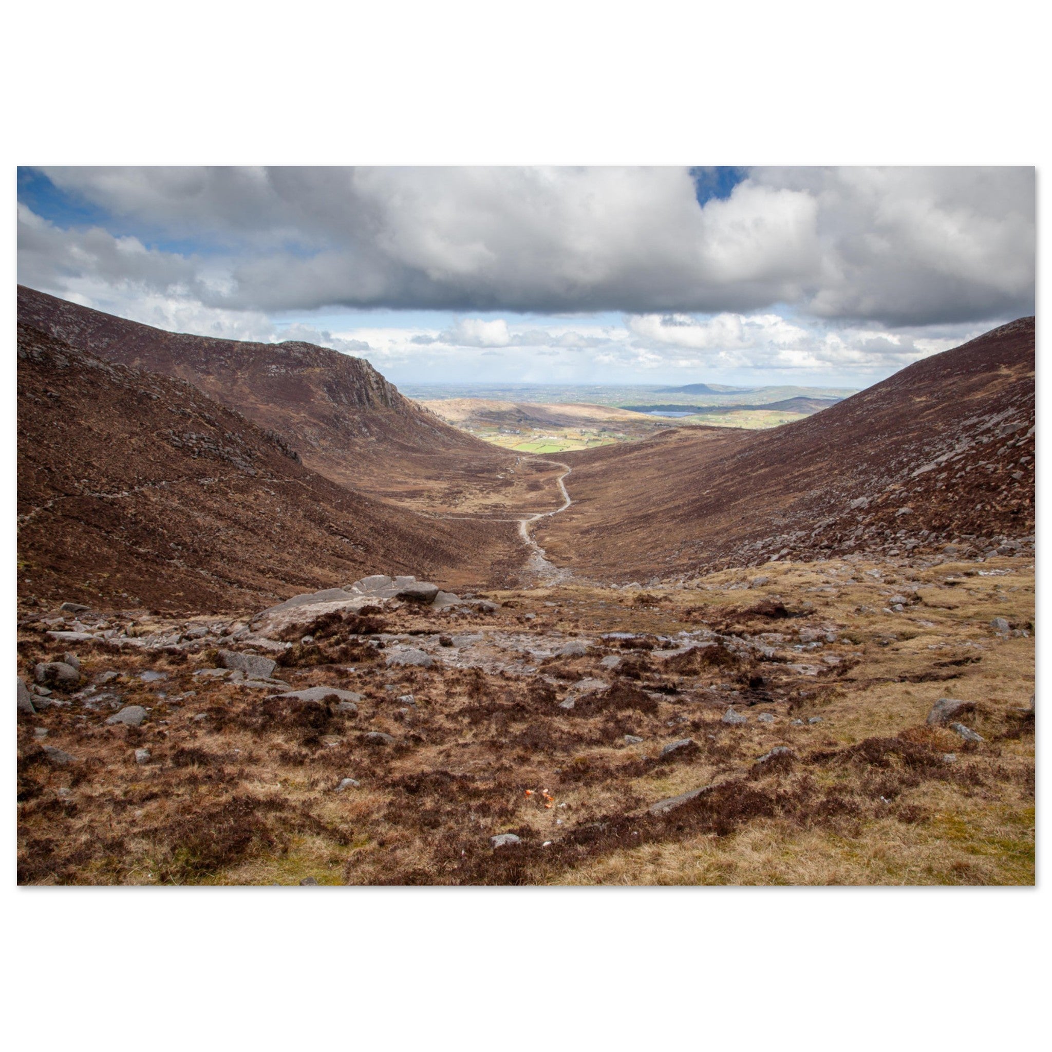 a64a999e-941f-4b4e-b82c-96eef4768fa9