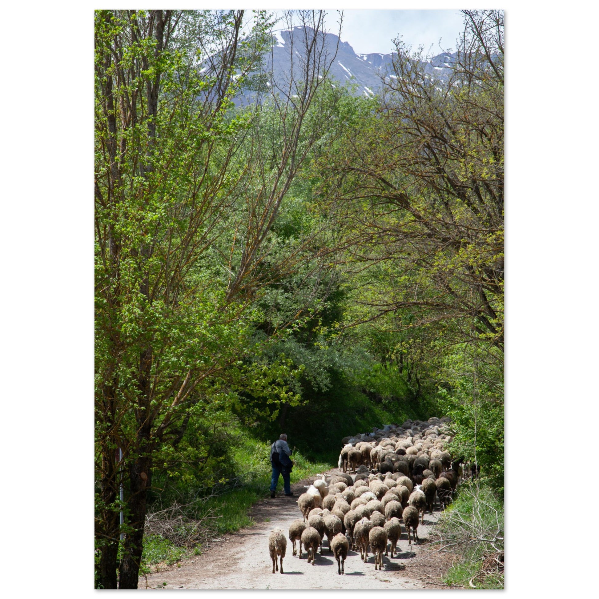 efd2aa75-2d75-45e6-964c-d98178f95443