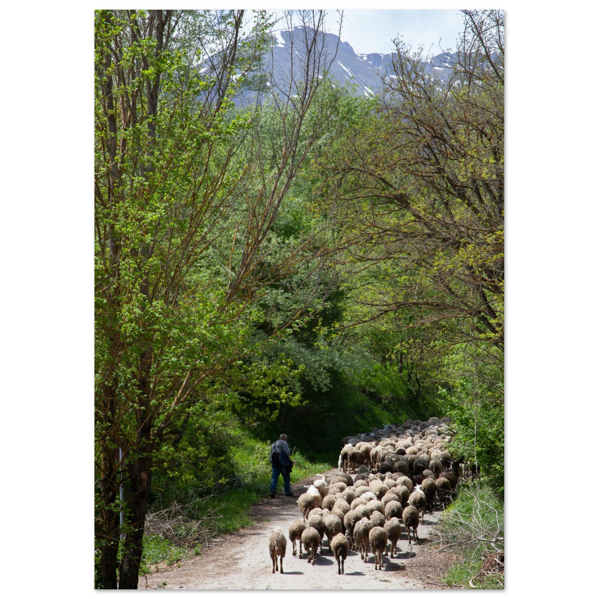 efd2aa75-2d75-45e6-964c-d98178f95443