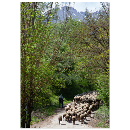 efd2aa75-2d75-45e6-964c-d98178f95443